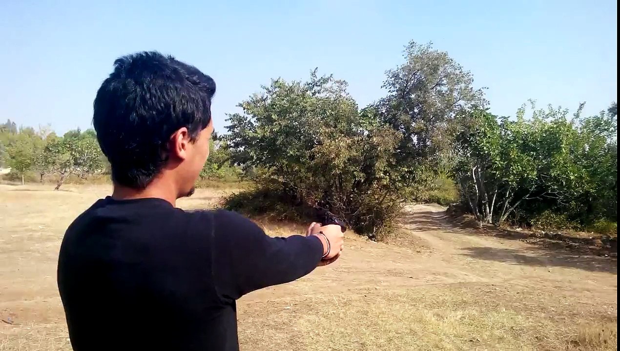 Swiss arms 941 co2 pistol 15 metre shots