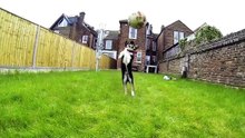 ja ja perritos
