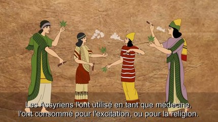Le Scientifique (Dr Raphael Mechoulam), histoire du cannabis et de ses propriétés (STFR)