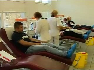 NZS wampiraida jesień 2008