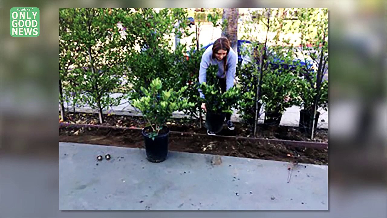 Girl Scouts Sell Cookies and now Build Basketball Courts!
