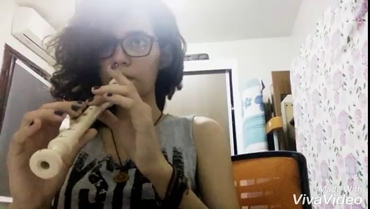 Stealing Society - SOAD (recorder cover)