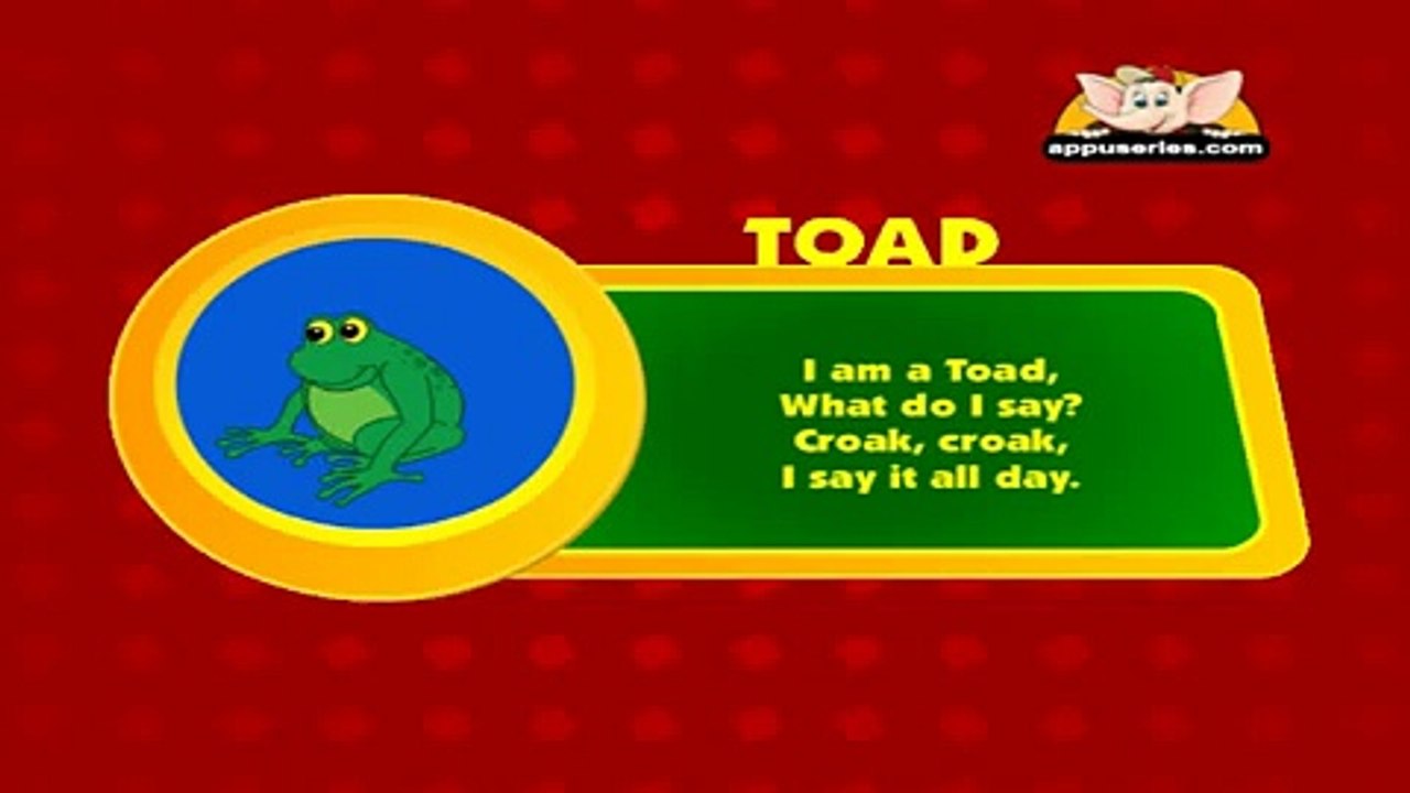 Animal Sounds in Hindi - Toad
