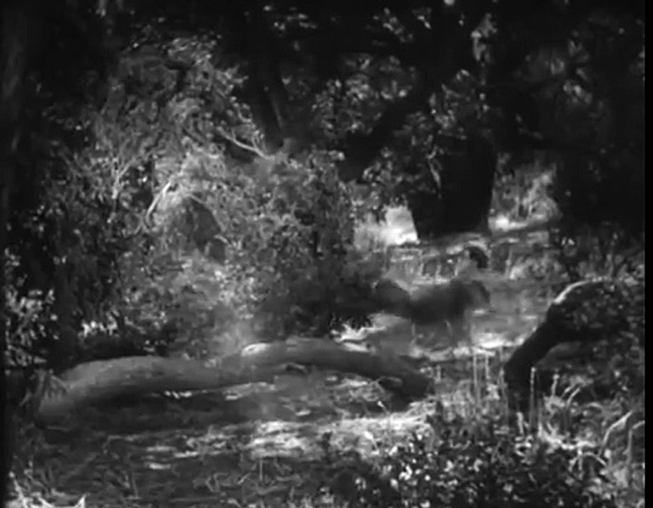 Welcome Danger Movie 177