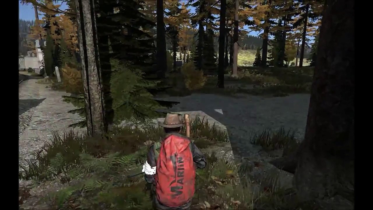 This is what happens when DayZ lags - DayZ