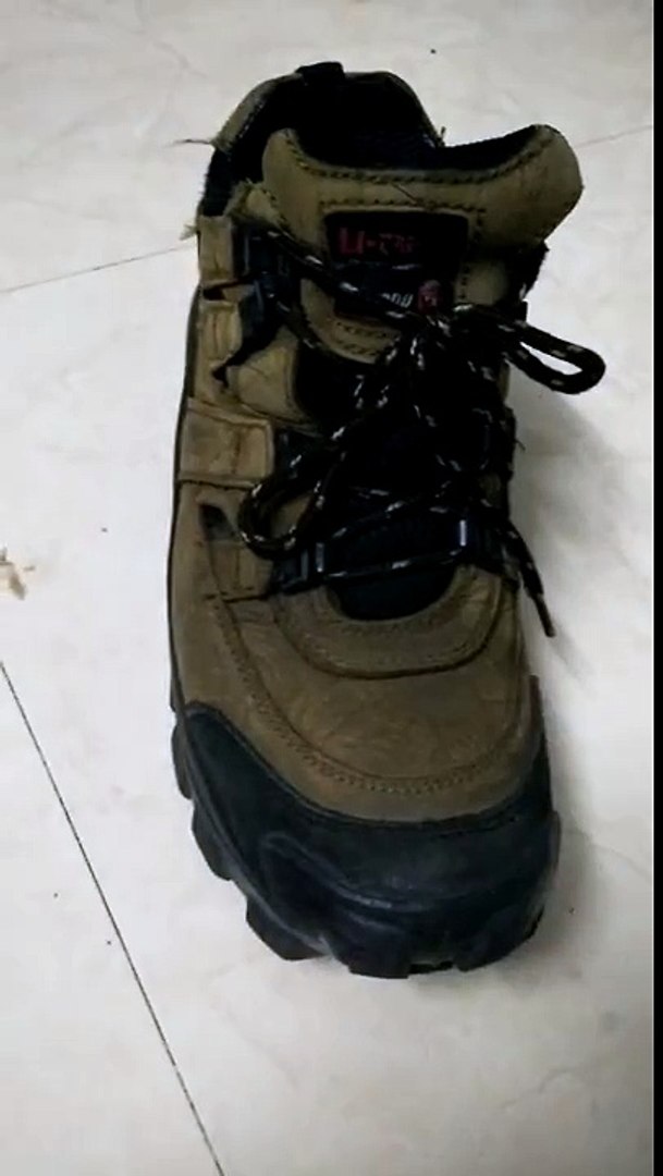 Woodland shoe polishing trick - video Dailymotion