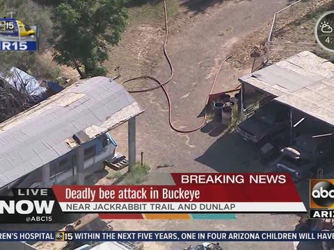 Man stung by bees dies, is revived