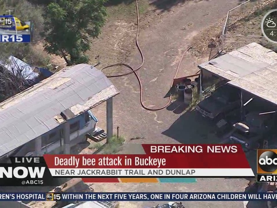 Man stung by bees dies, is revived