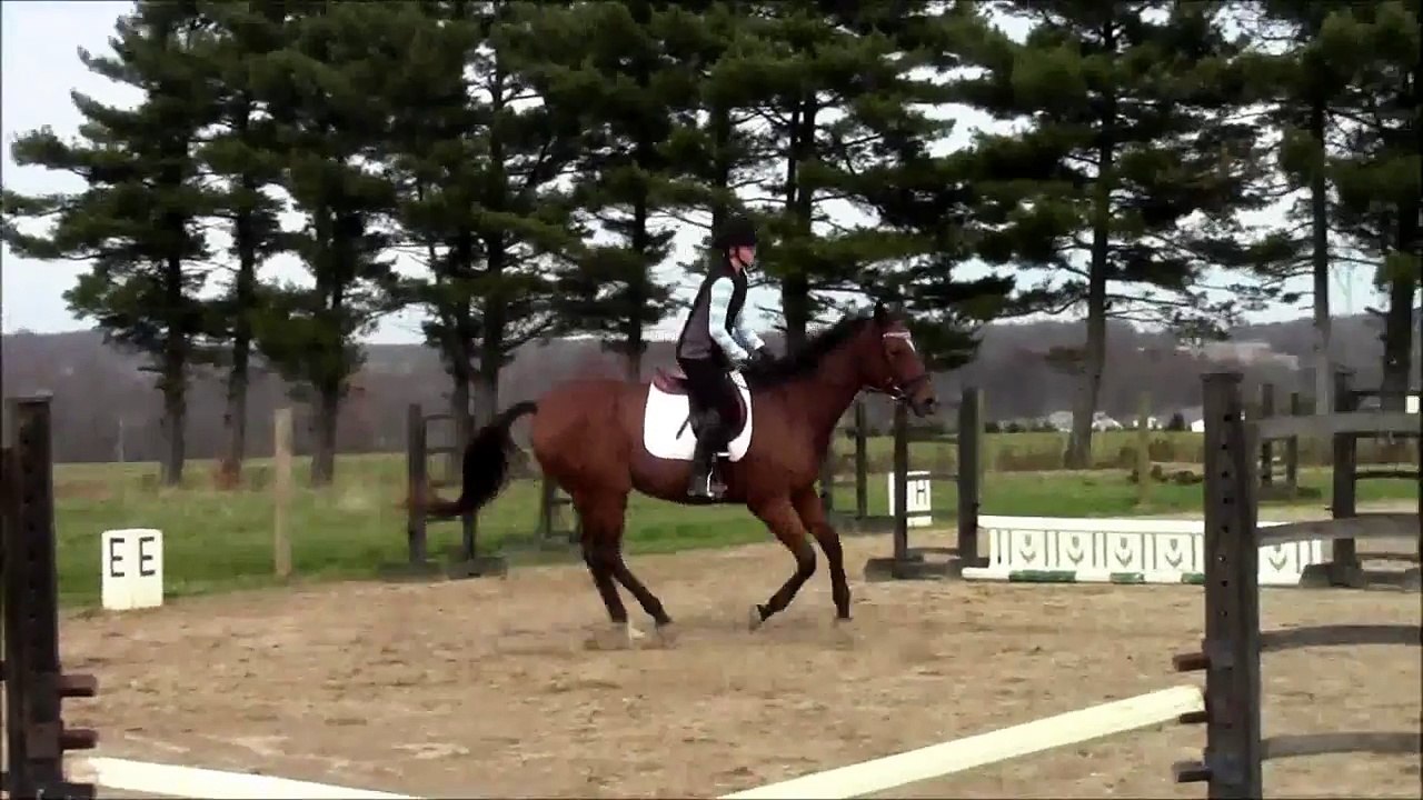 Lucky He's Perfect