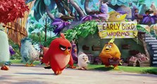 Angry Birds в кино  The Angry Birds Movie (2016) Русский тизер трейлер HD