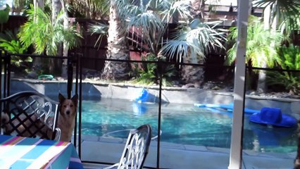 IM SO EXCITED! (9.24.14 - Day 607)