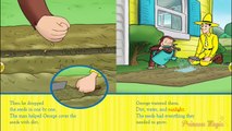 ♡ Curious George / Jorge el Curioso The Perfect Carrot Educational Storytelling For Kids English