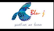 Blue Jay Projects and COnstructions Pvt Ltd