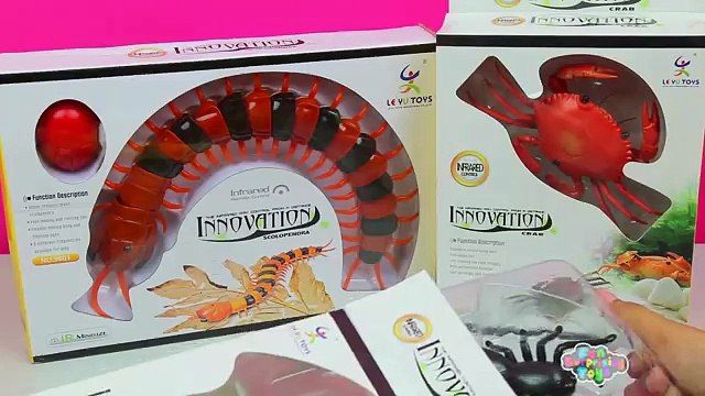 Giant Scolopendra Creepy Crawlers Spider Crab Innovation Toys Collection