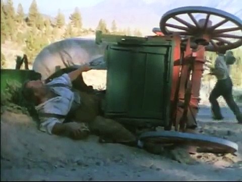 EL OSO GRIZZLY MAN PELICULA COMPLETA CASTELLANO ACCION AVENTURAS