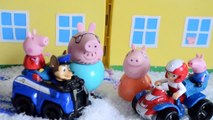 Paw Patrol Episode Ryder Chase Peppa Pigs House Daddy Pig Mammy Pig George pig Animation
