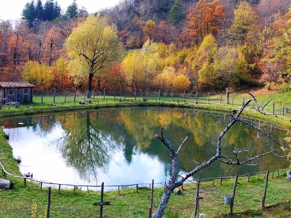 Lucio DALLA "La strada dei miracoli" I miracoli della natura