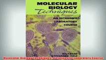 Free   Molecular Biology Techniques An Intensive Laboratory Course Read Download