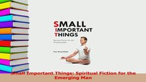Read  Small Important Things Spiritual Fiction for the Emerging Man Ebook Free