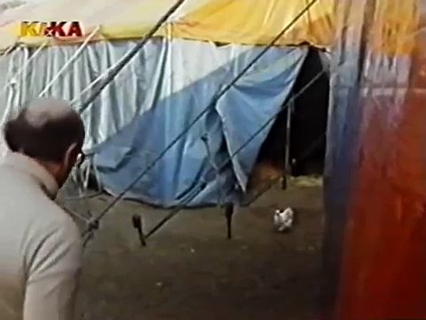 Löwenzahn Classics 050 Peter wird Jongleur