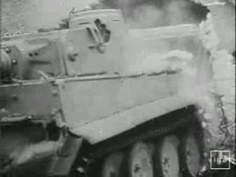 Tiger 1943