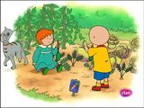 DVD24 Caillou capitulos completos Discovery kids latino en español