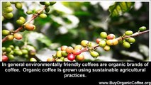 Environmentally Friendly Coffee