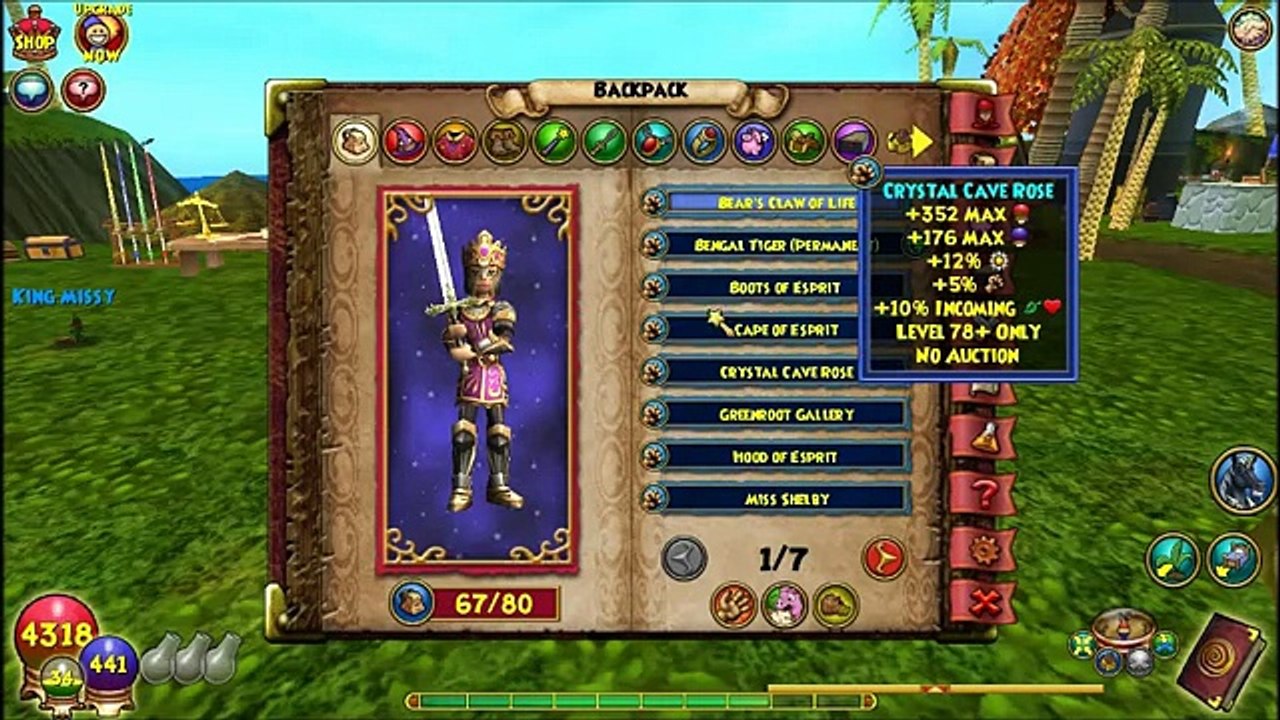 Buy Sell Accounts - Selling 2 Wizard101 accounts lvl ~83 lvl ~84 - SUPER GOOD - MUST WATCH