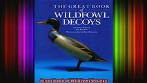 Read  Great Book of Wildfowl Decoys  Full EBook