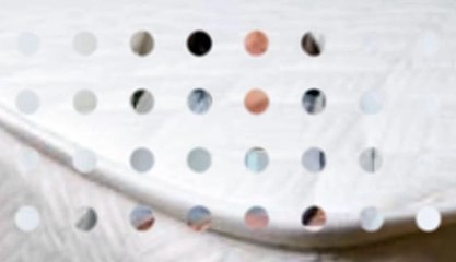 Buckeye Bug Services - Columbus - (614) 269-5244