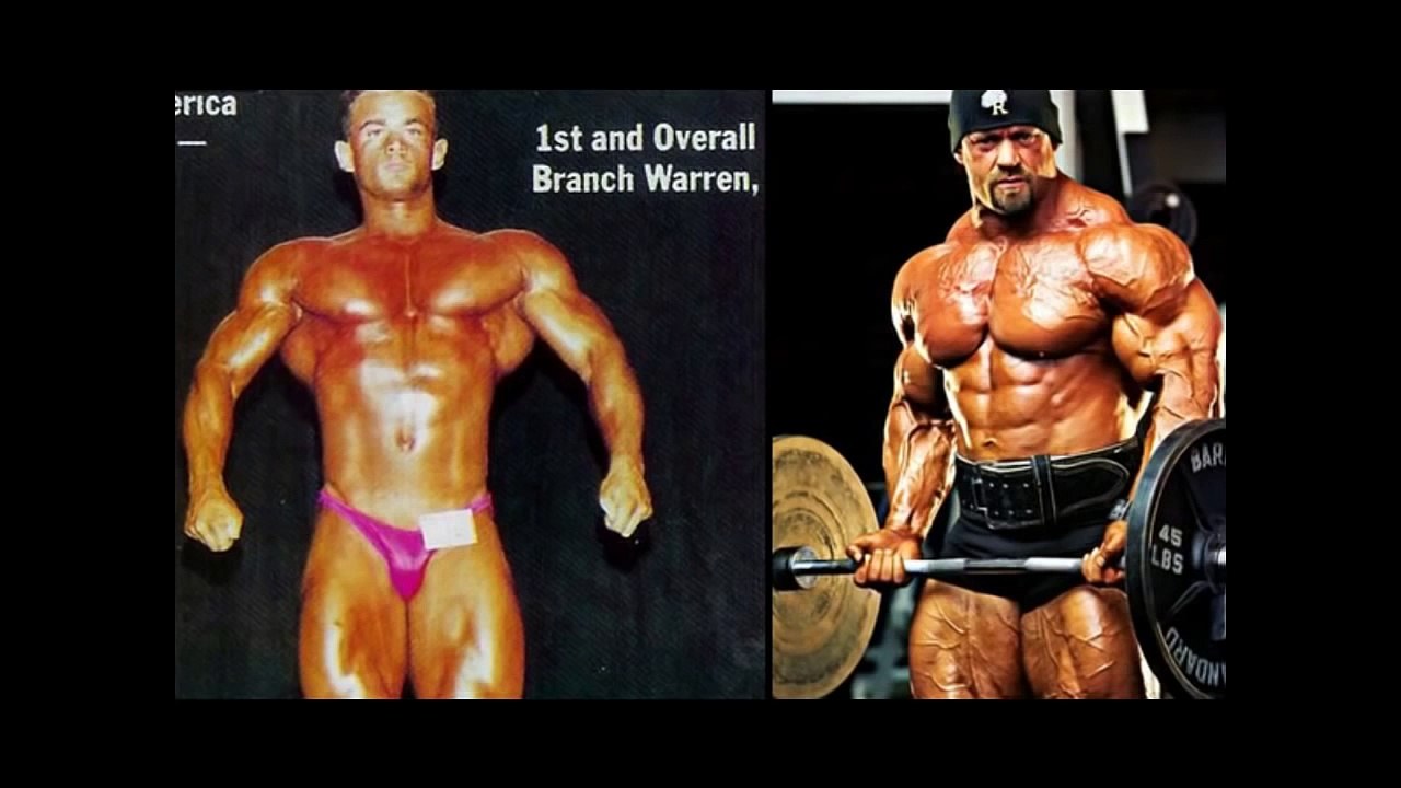 body bulder arnold