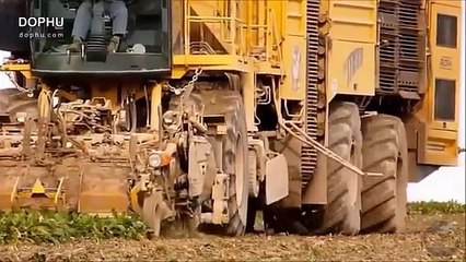 This is how the cars and machinery worst crisis the world of work