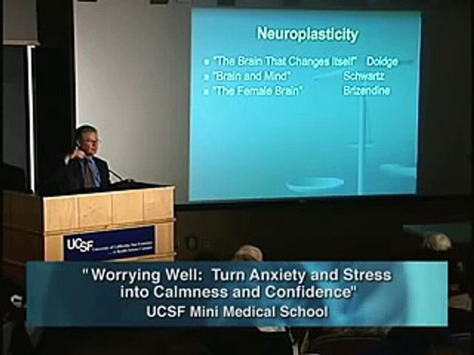 How Your Brain Can Turn Anxiety into Calmness 31