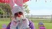 Robert Downey Jr. déguisé en lapin géant pour une oeuvre caritative