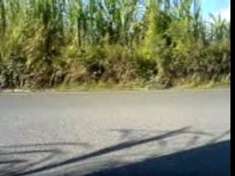 poket bike bras-panon