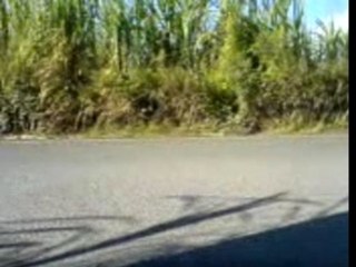 poket bike bras-panon