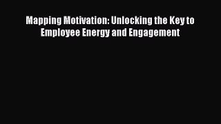 Download Mapping Motivation: Unlocking the Key to Employee Energy and Engagement  Read Online