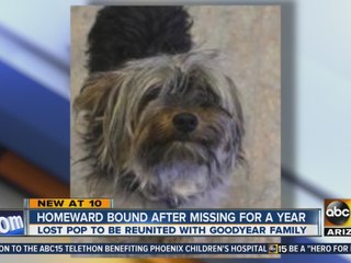 Homeward bound after missing a year
