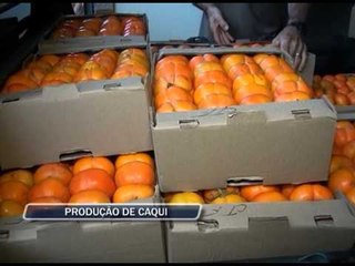 22-04-2013 - PRODUÇÃO DE CAQUI - ZOOM TV JORNAL