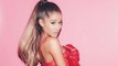 Ariana Grande Fires Back At Sexist Troll Who Called Her a Whore on Facebook