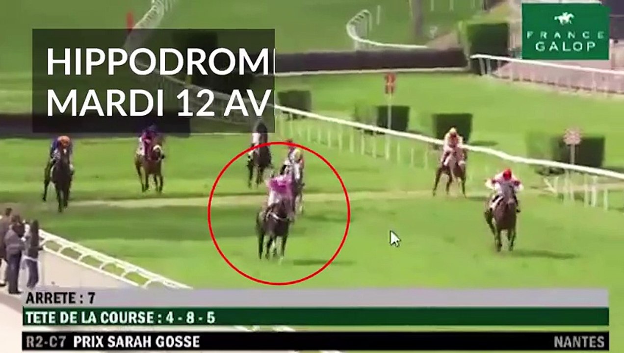 Un cheval percute des spectateurs à Nantes