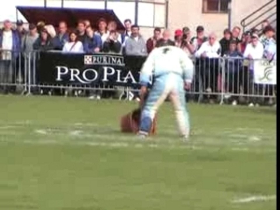 final ring 2007