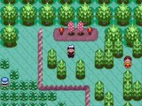 Episode Seven - Slakoth evolves into Vigoroth - Pokemon Ruby