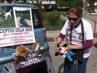 Aiutateci a trovare Lea  cagnolina amica di un bambino autistico