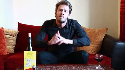 Bonjour Tristesse n°58 (Panama Papers/Nuit Debout)