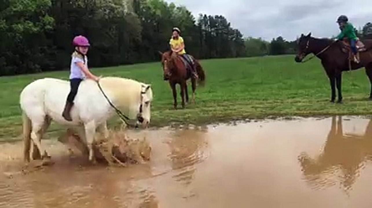 Un poney s'amuse et envoie une fille dans une flaque d'eau
