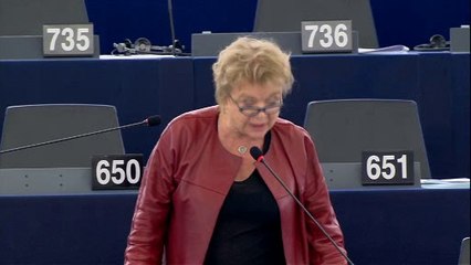 Eva Joly: "Nous n'abdiquerons pas nos libertés fondamentales"