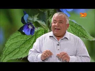 Ne Shtepine Tone, 13 Prill 2016, Pjesa 5 - Top Channel Albania - Entertainment Show