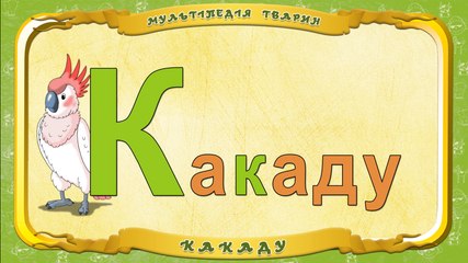 Мультіпедія тварин. Літера К - Какаду