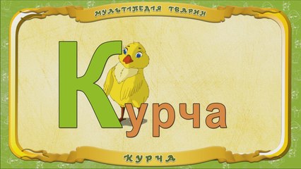 Мультіпедія тварин. Літера К - Курча